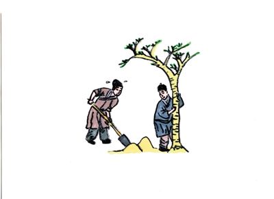 宁夏:让爱绿护绿成为自觉行动 宁夏:让爱绿护绿成为自觉行动