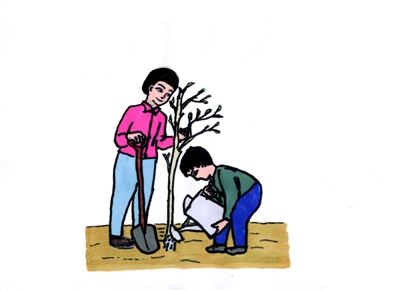 宁夏:让爱绿护绿成为自觉行动 宁夏:让爱绿护绿成为自觉行动