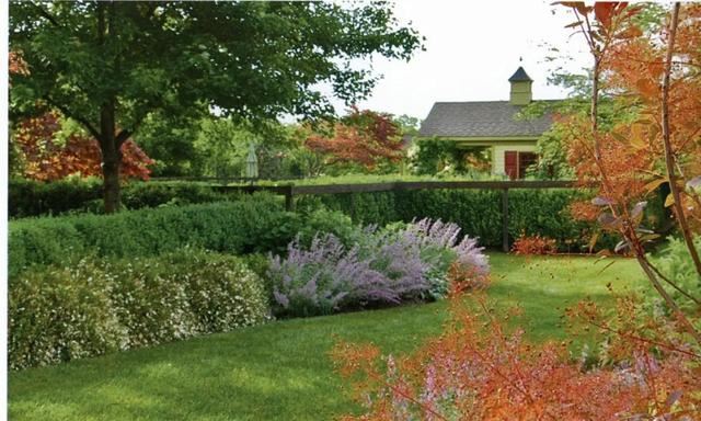 花园设计时,该如何选择植物,如何植物搭配 花园设计时,该如何选择植物,如何植物搭配