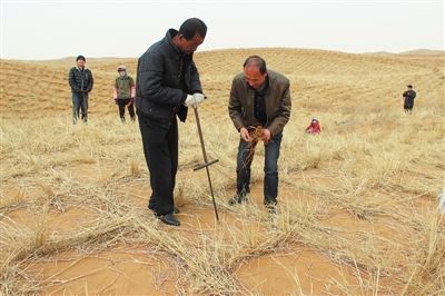 宁夏:让爱绿护绿成为自觉行动 宁夏:让爱绿护绿成为自觉行动