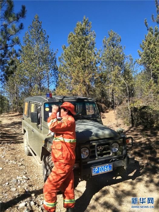 [最美林业故事]“森林卫士”宋亚洲：疫情当前　用生命诠释忠诚与担当