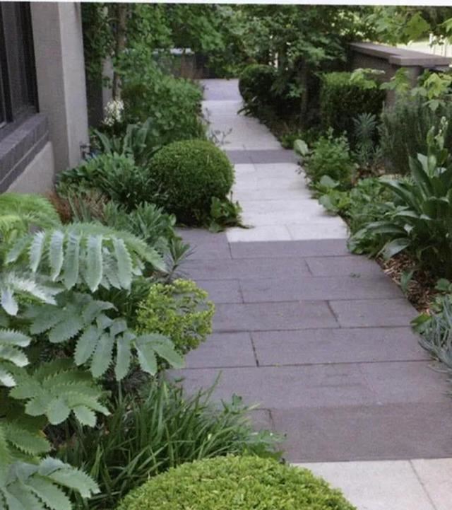 花园设计时,该如何选择植物,如何植物搭配 花园设计时,该如何选择植物,如何植物搭配