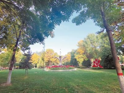 宁夏:让爱绿护绿成为自觉行动 宁夏:让爱绿护绿成为自觉行动