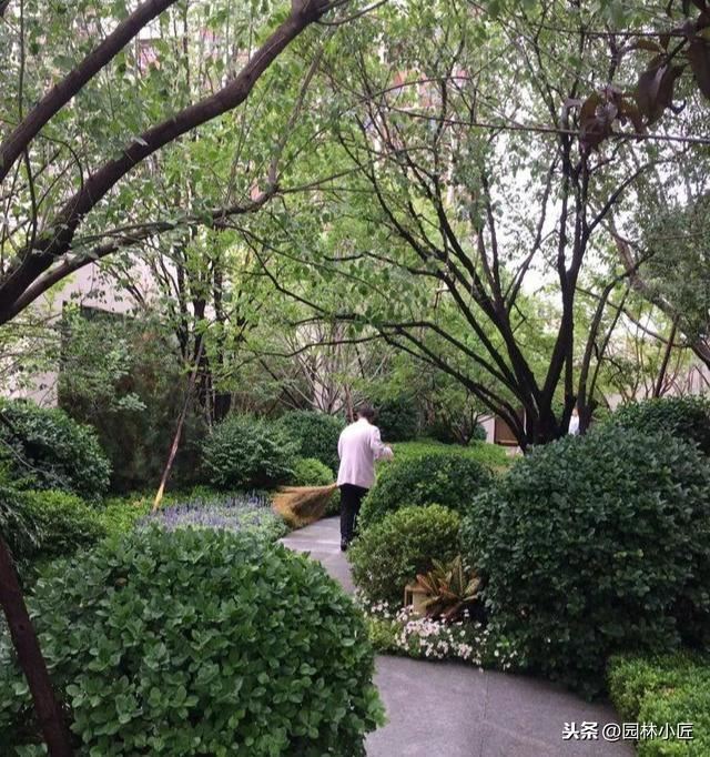 园林施工绿化篇（续），带你一起欣赏它华丽的蜕变
