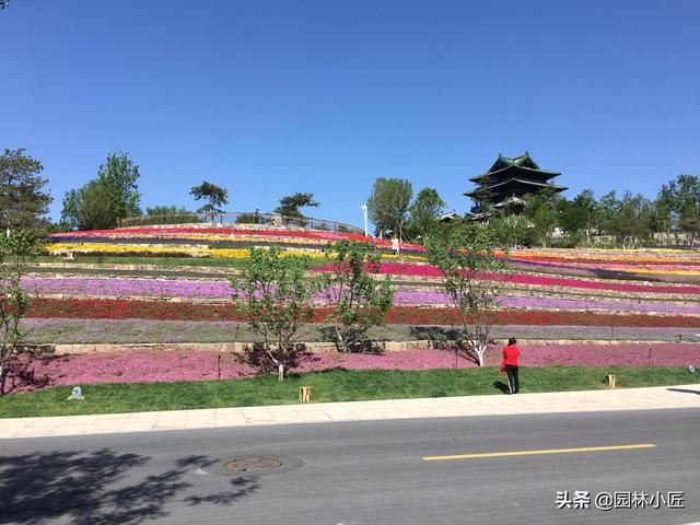 园林景观中，“花海”案例赏析