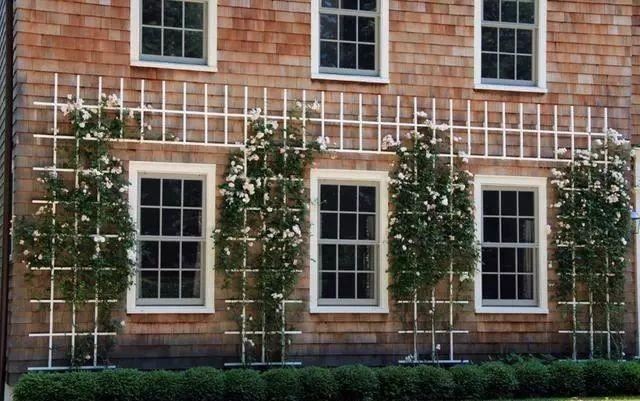 细数庭院景观中的装饰，陶，木，石，钢，瓷多样性景观小品