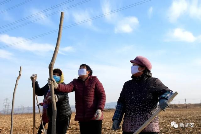 十大造林绿化工程来啦!武安将成大花园 十大造林绿化工程来啦!武安将成大花园