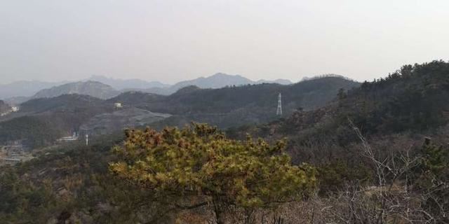 构建城乡一体的“大绿化”格局!今年青岛将新添森林6万亩、新建28个口袋公园 构建城乡一体的“大绿化”格局!今年青岛将新添森林6万亩、新建28个口袋公园