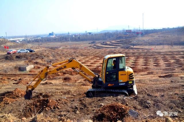 十大造林绿化工程来啦!武安将成大花园 十大造林绿化工程来啦!武安将成大花园