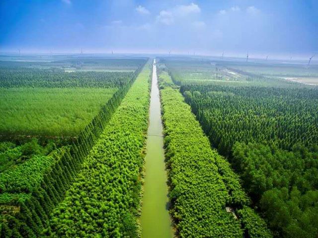 又到造林绿化黄金时间 来看看江苏哪些地方要“添绿” 又到造林绿化黄金时间 来看看江苏哪些地方要“添绿”