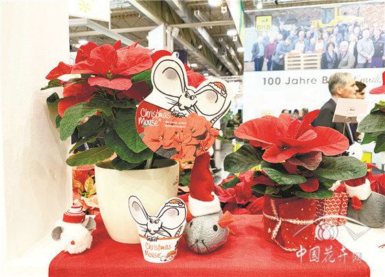德国埃森国际植物花卉展注重细节打造凸显环保主题 
