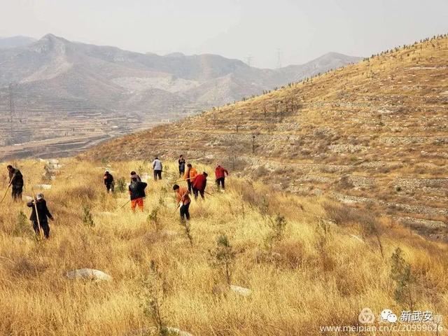 十大造林绿化工程来啦!武安将成大花园 十大造林绿化工程来啦!武安将成大花园