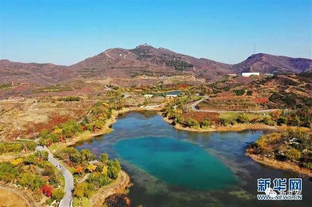 十大造林绿化工程来啦!武安将成大花园 十大造林绿化工程来啦!武安将成大花园