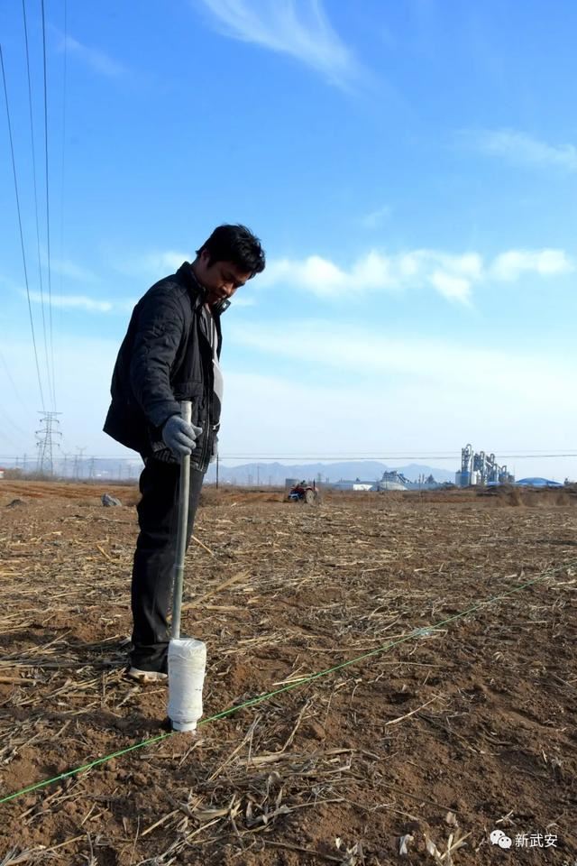 十大造林绿化工程来啦!武安将成大花园 十大造林绿化工程来啦!武安将成大花园