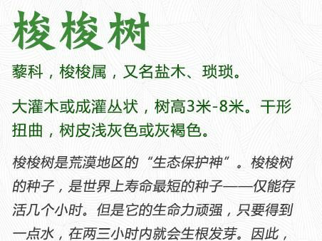 今天，一起来认识这些“绿化精灵”