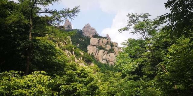 构建城乡一体的“大绿化”格局!今年青岛将新添森林6万亩、新建28个口袋公园 构建城乡一体的“大绿化”格局!今年青岛将新添森林6万亩、新建28个口袋公园