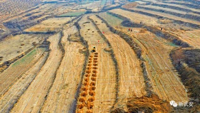 十大造林绿化工程来啦!武安将成大花园 十大造林绿化工程来啦!武安将成大花园