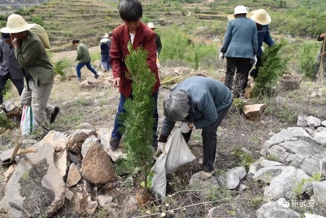 十大造林绿化工程来啦!武安将成大花园 十大造林绿化工程来啦!武安将成大花园