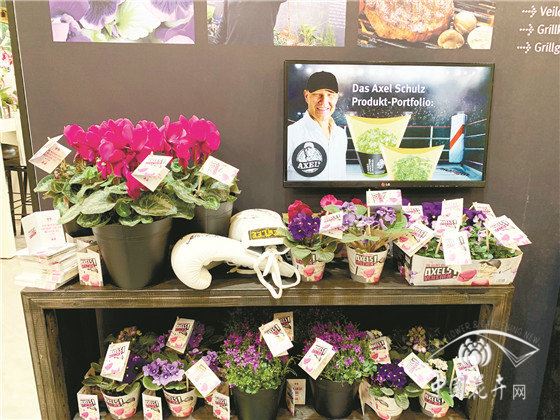德国埃森国际植物花卉展注重细节打造凸显环保主题 