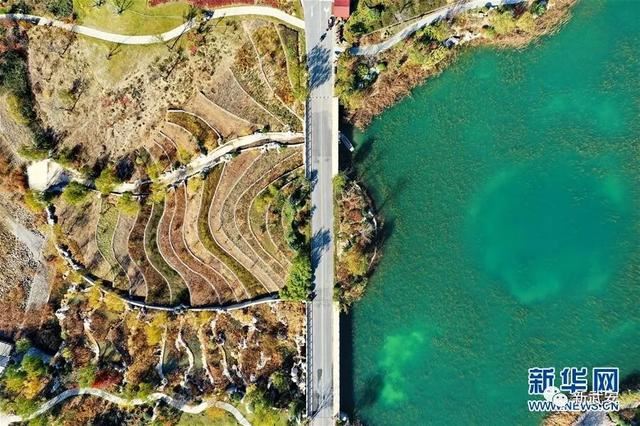 十大造林绿化工程来啦!武安将成大花园 十大造林绿化工程来啦!武安将成大花园