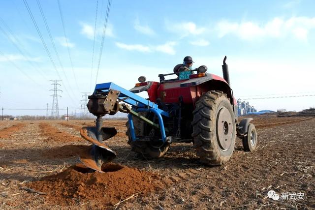 十大造林绿化工程来啦!武安将成大花园 十大造林绿化工程来啦!武安将成大花园