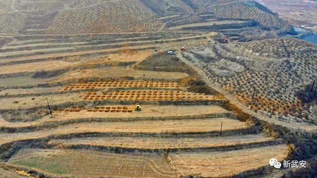 十大造林绿化工程来啦!武安将成大花园 十大造林绿化工程来啦!武安将成大花园