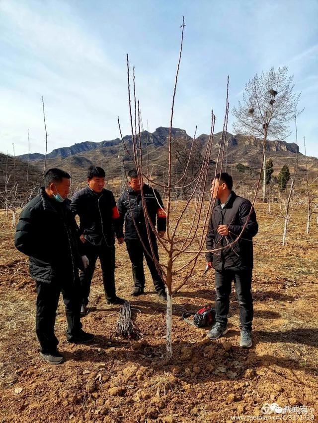 十大造林绿化工程来啦!武安将成大花园 十大造林绿化工程来啦!武安将成大花园