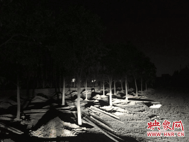 绿化造林季节不等人 郑州樱桃沟管委会已完成20公里林业休闲绿道绿化 绿化造林季节不等人 郑州樱桃沟管委会已完成20公里林业休闲绿道绿化