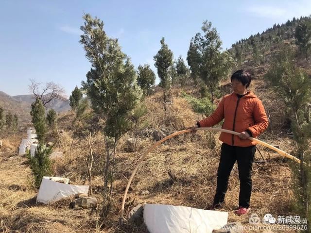 十大造林绿化工程来啦!武安将成大花园 十大造林绿化工程来啦!武安将成大花园