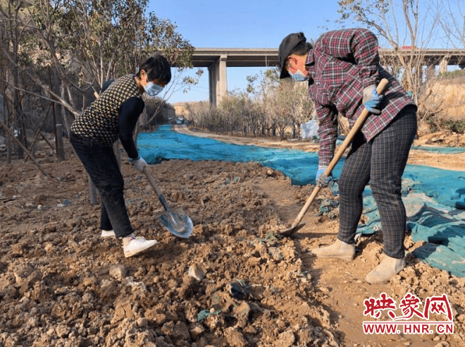 绿化造林季节不等人 郑州樱桃沟管委会已完成20公里林业休闲绿道绿化 绿化造林季节不等人 郑州樱桃沟管委会已完成20公里林业休闲绿道绿化