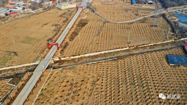 十大造林绿化工程来啦!武安将成大花园 十大造林绿化工程来啦!武安将成大花园