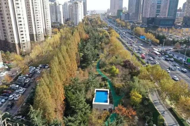 构建城乡一体的“大绿化”格局!今年青岛将新添森林6万亩、新建28个口袋公园 构建城乡一体的“大绿化”格局!今年青岛将新添森林6万亩、新建28个口袋公园