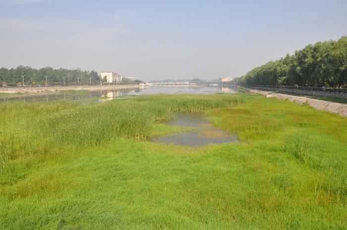 山西省发布第一批省级重要湿地名录