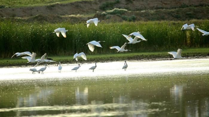 山西省发布第一批省级重要湿地名录