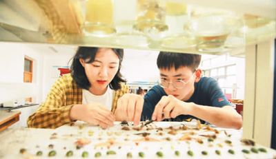 [最美林业故事]保护生物多样性，我们愿奉献一生