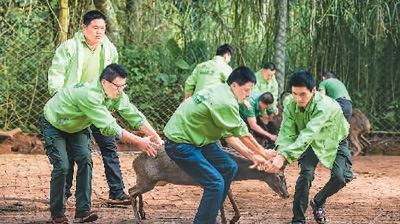 [最美林业故事]保护生物多样性，我们愿奉献一生