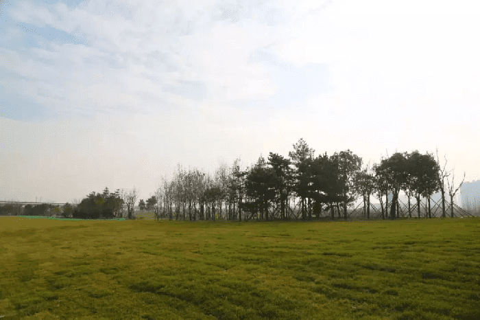 绿化再提升 美景再升级！浐灞更“靓”啦~