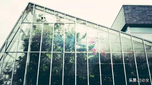 疫情之后，苗木行业者该怎么做才能自救