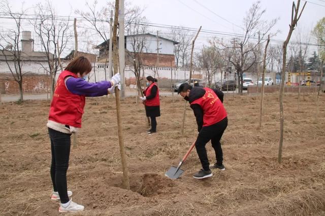 西咸新区，种下春天