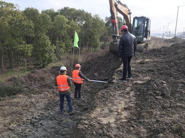 多措并举做好养护工作 秀洲让“绿色”成最美底色