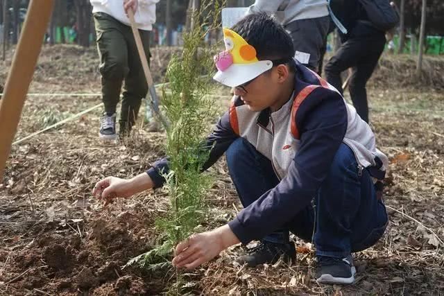 别让地球去流浪，线上云种树，绿色满长安！