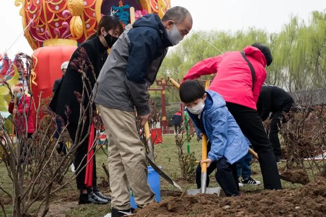 别让地球去流浪，线上云种树，绿色满长安！