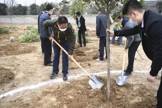 西咸新区，种下春天