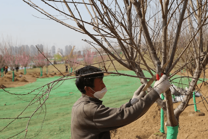 绿化再提升 美景再升级！浐灞更“靓”啦~
