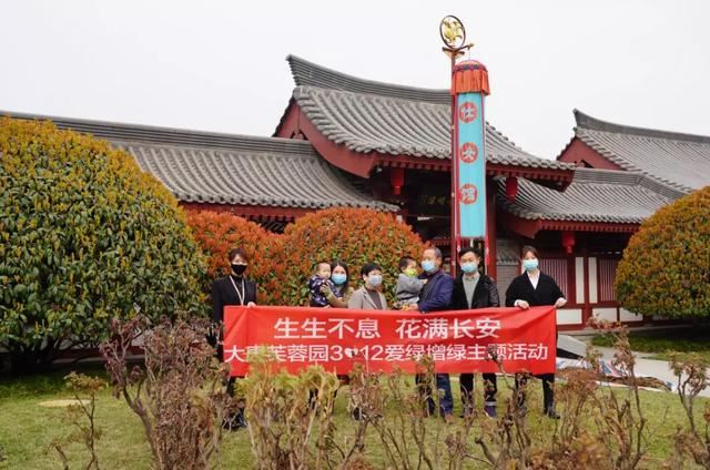 别让地球去流浪，线上云种树，绿色满长安！