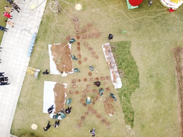 别让地球去流浪，线上云种树，绿色满长安！