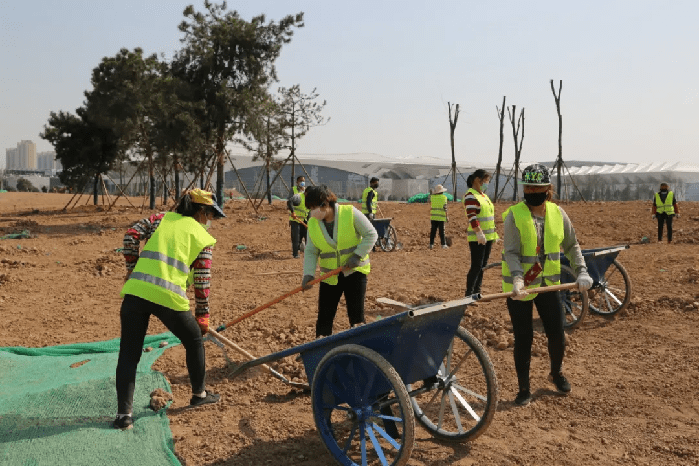 绿化再提升 美景再升级！浐灞更“靓”啦~