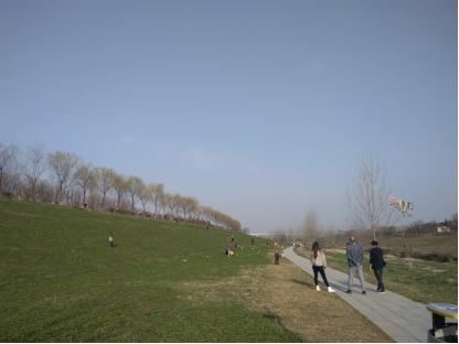 四道“春景”扮靓美丽高新 四道“春景”扮靓美丽高新