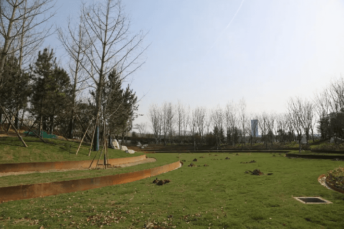 绿化再提升 美景再升级！浐灞更“靓”啦~