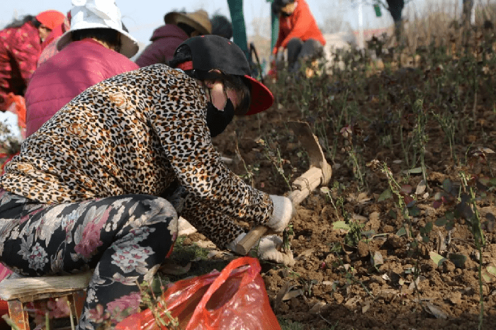 绿化再提升 美景再升级！浐灞更“靓”啦~